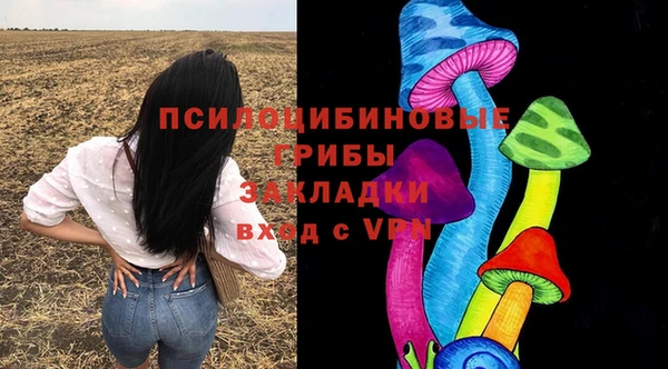 эйфоретик Ладушкин