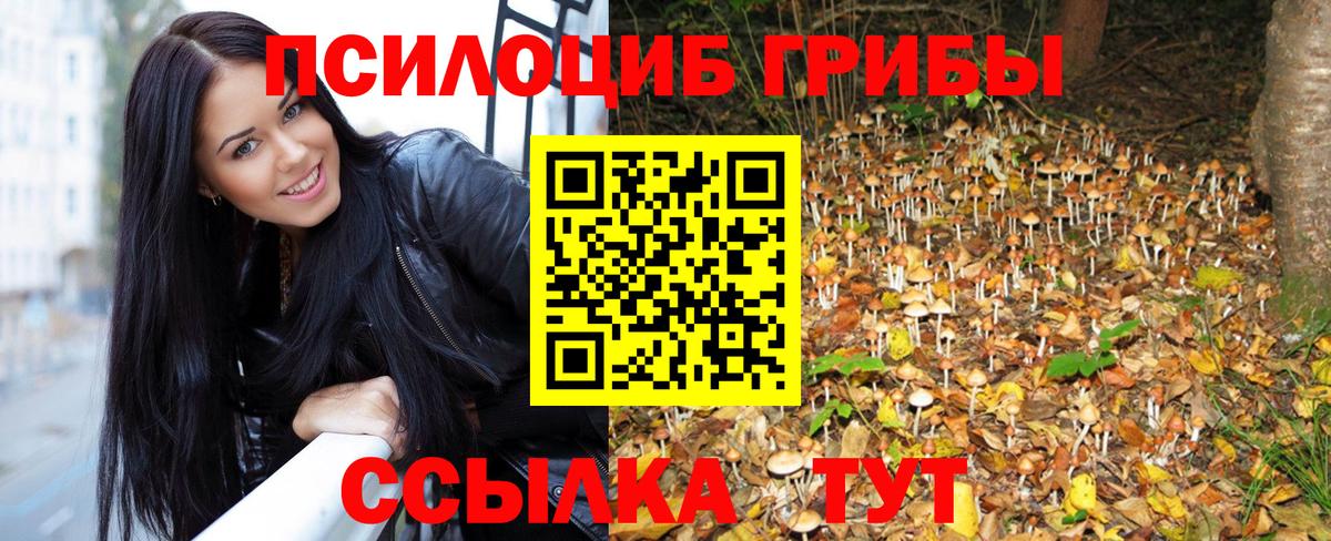 Ростов-на-Дону  Псилоцибиновые грибы Magic Shrooms  Вход с VPN 