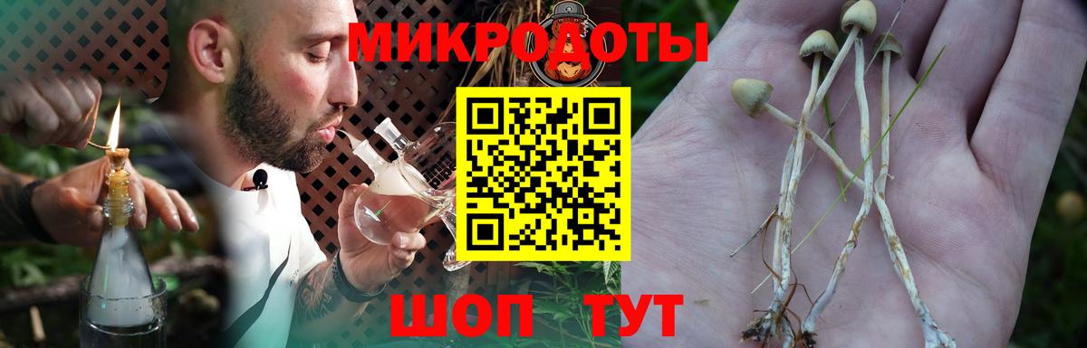 Псилоцибиновые грибы мицелий  Ростов-на-Дону 